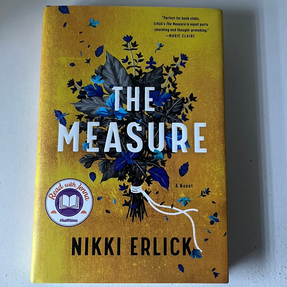 The Measure by Nikki Erlick